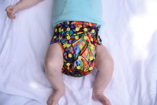Rainbow Fern - Nappy Cover